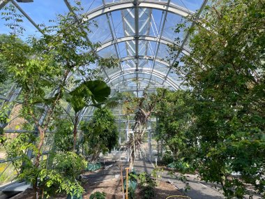 foto Levering planten Tropische kas in botanische tuin Flora Keulen
