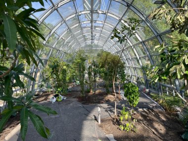foto Tropical plants find new home at Botanical garden Flora