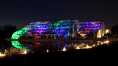 foto Christmas Glow bei 'The Glasshouse' im RHS Wisley