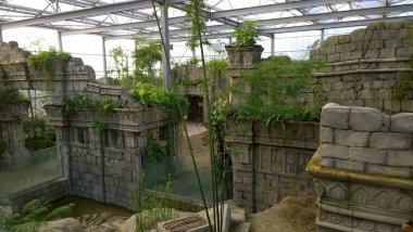 foto King Willem-Alexander opens Wildlands, the new zoo with two projects of EdenParks